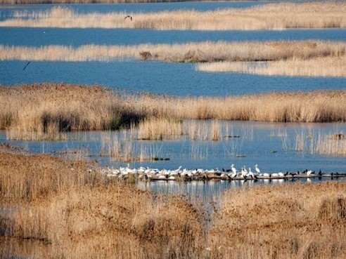 Kerkini Lake