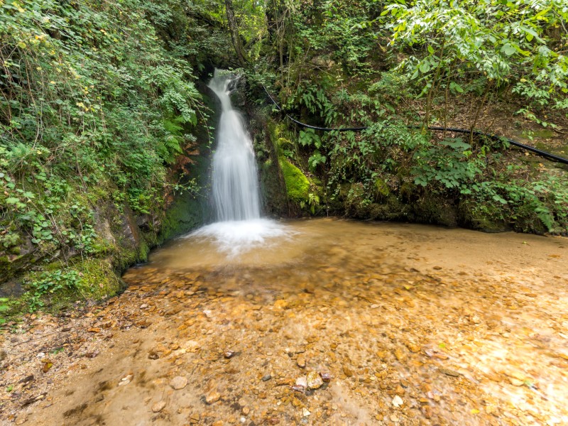 USA - East USA - finger lakes