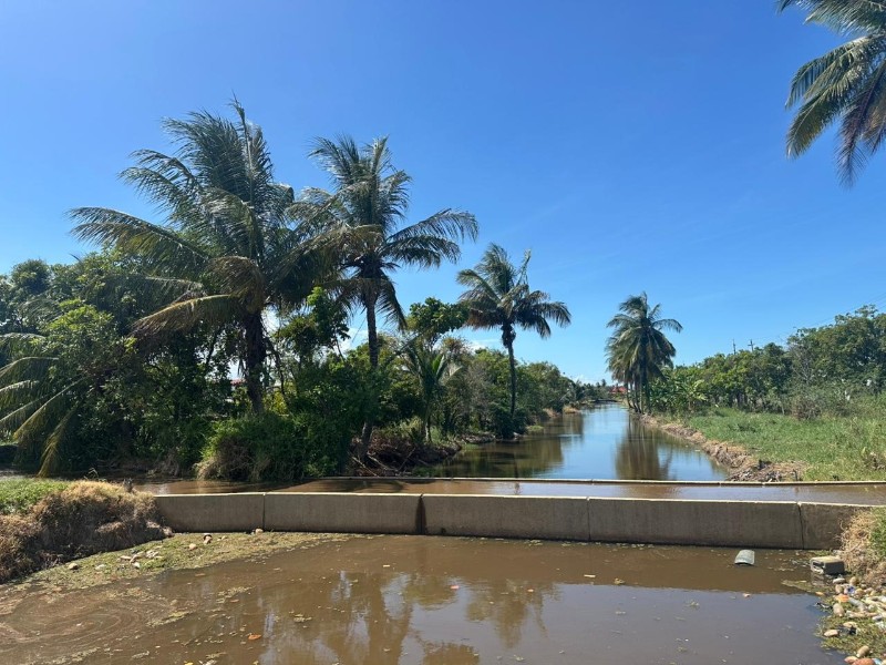 Coastal Rhythms & Rice Fields