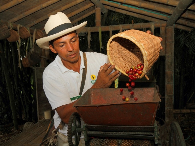 Kaffeezone Kaffeeverarbeitung