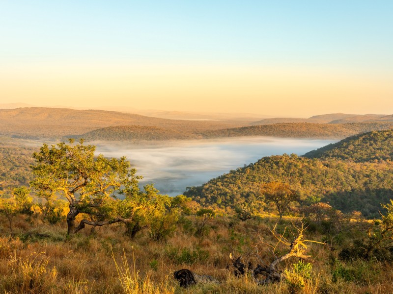 South Africa - Hluhluwe