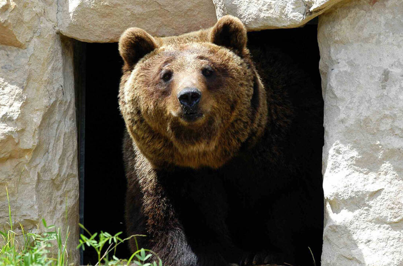Alpenzoo Innsbruck