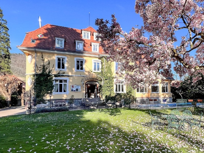 Hotel du Parc, Thann