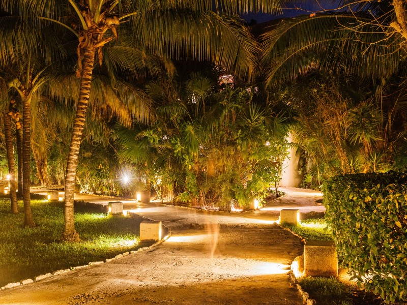Esencia - Garten Abendstimmung