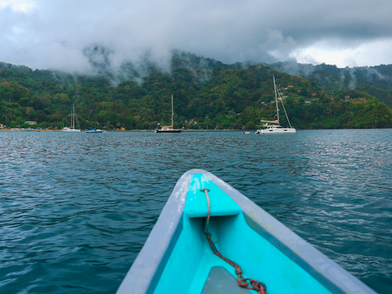 Tobago: Little Tobago Tour