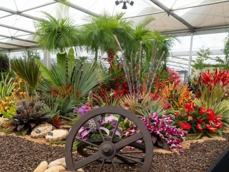 Grenada Flower Show