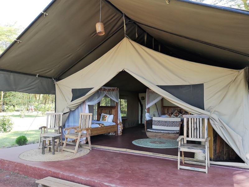 Lake Manyara Safari Comfort