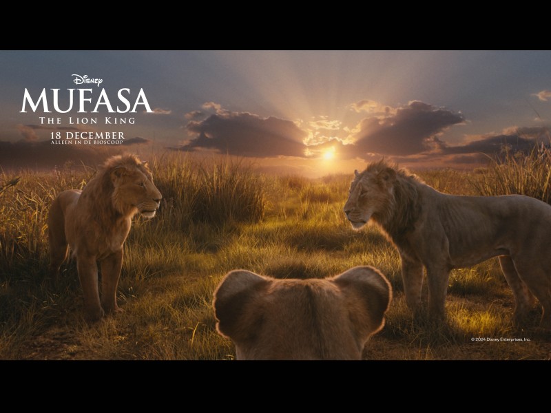 fictieve beelden Disney®