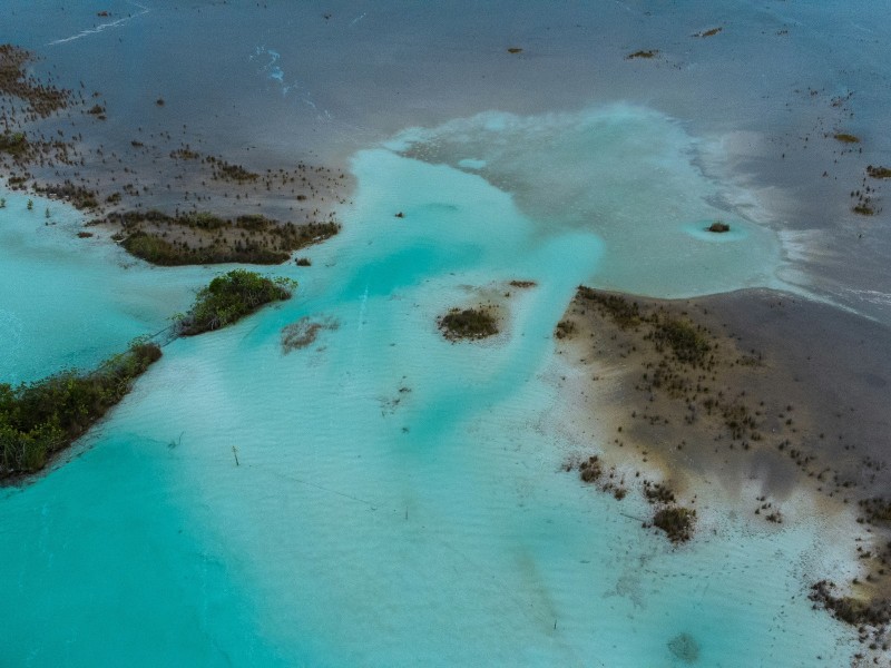 Bacalar