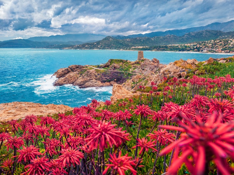 France, Corsica - L'ile-Rousse
