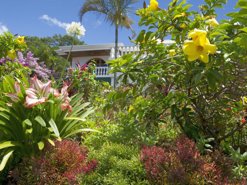 Buena Vista Chic Hotel - Garten