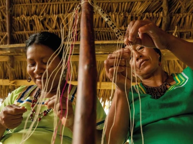 Napo Wildlife Center, Yasuní