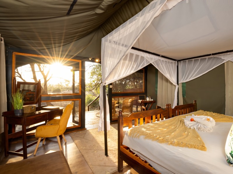 Zimmerbeispiel Elephant Valley Lodge