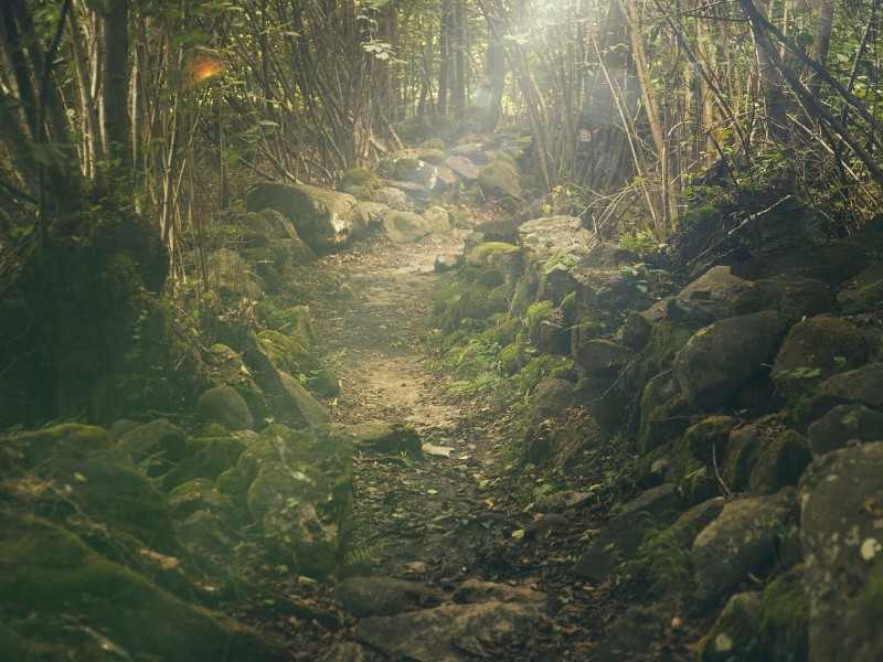 Mountain