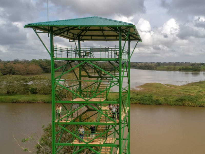 Natural - Observatory Lodge