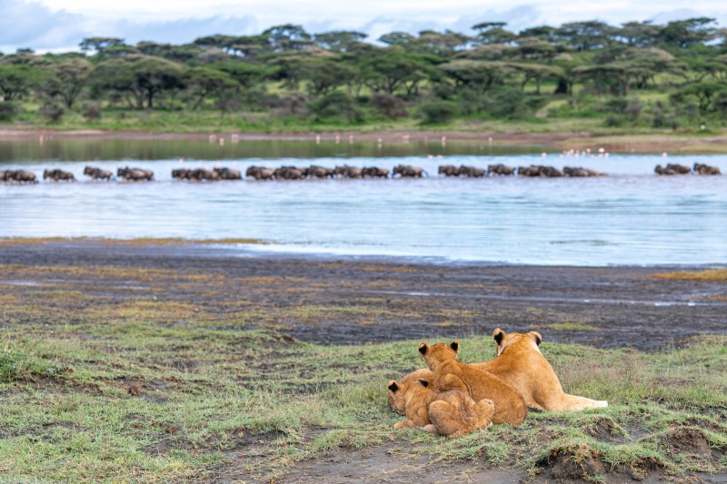 Southern Serengeti