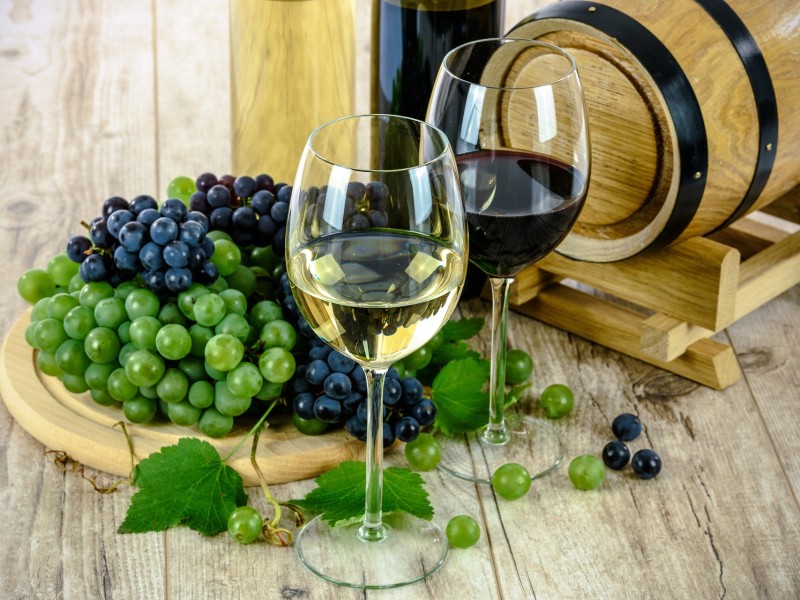 Wine & Grapes