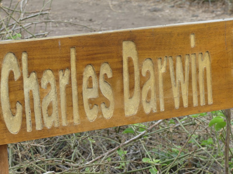 Charles Darwin Station