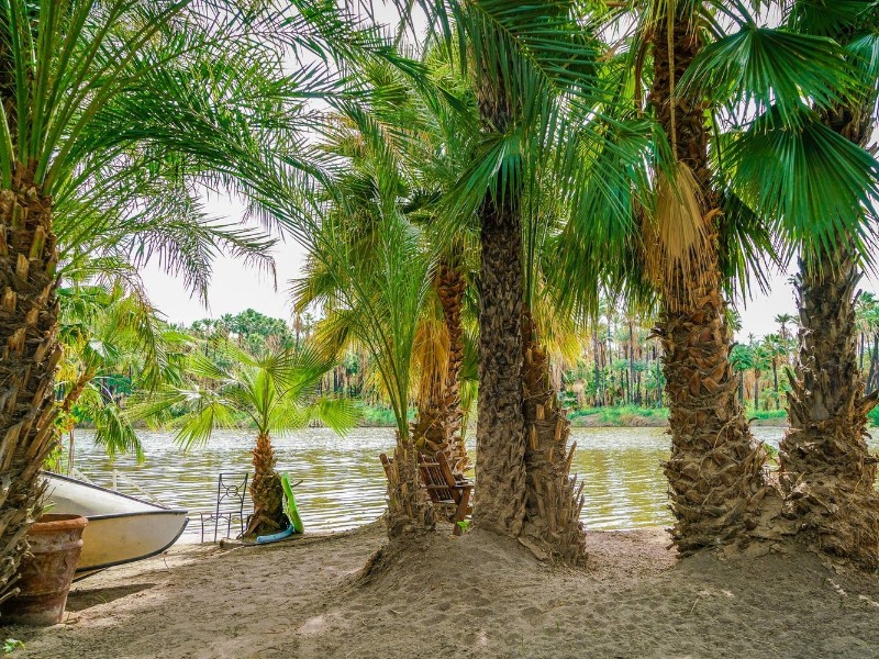 Ignacio Springs - Fluss