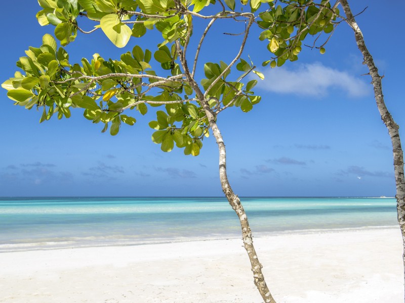 Melia Jardines del Rey - Strand 