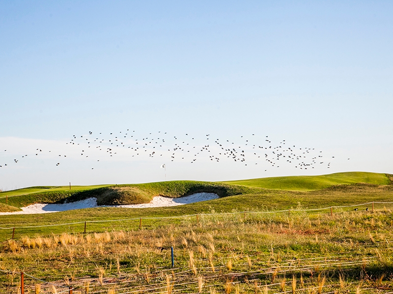 Terramar Golf Course © Golf Club