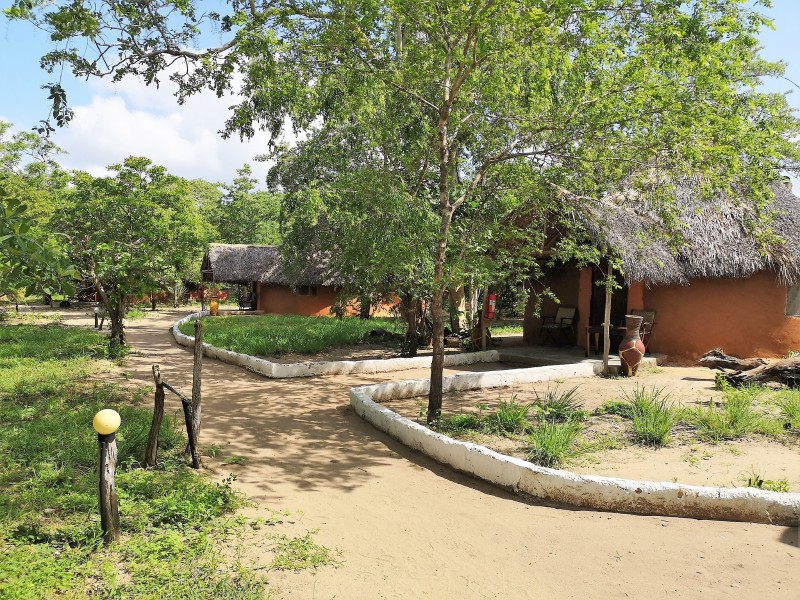 Banda-Bungalow in Selous