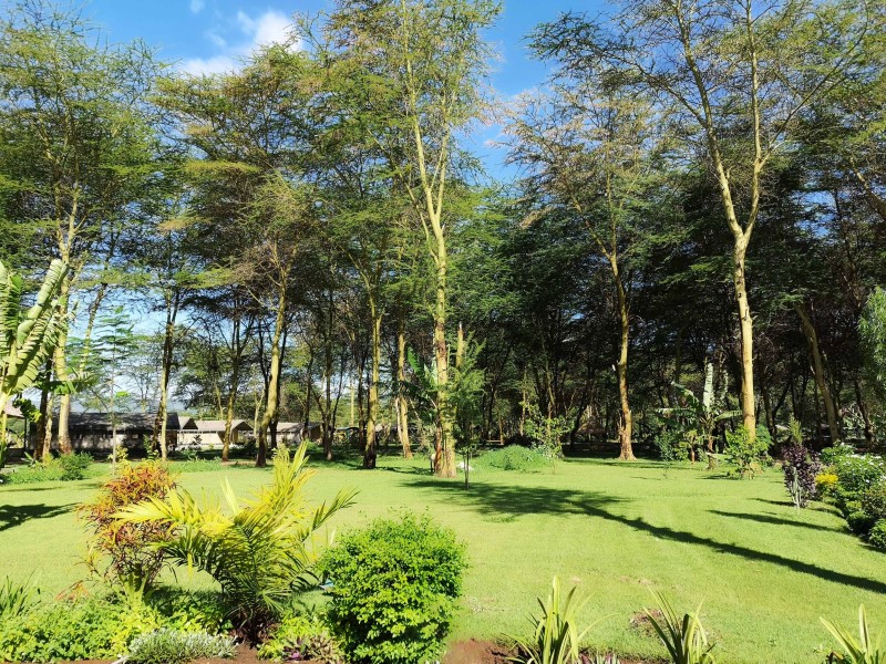 Lake Manyara Garden