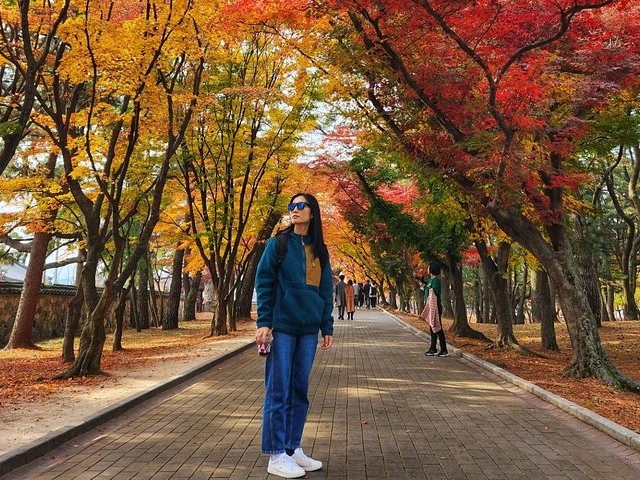 Old Korea Thousand History Tour