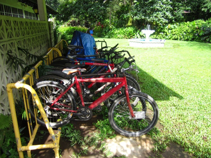 Park Eden B & B - Bikes