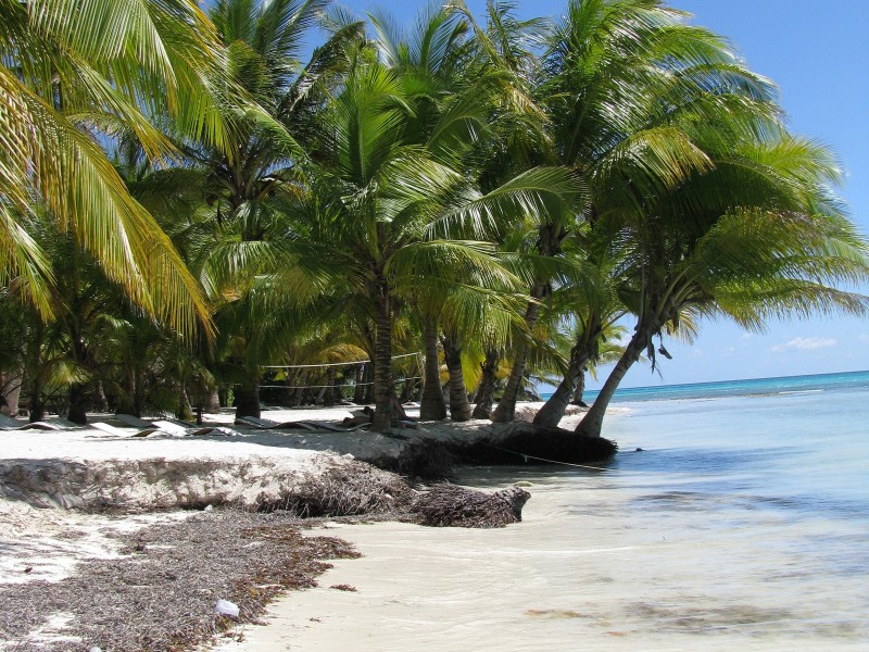 Strand Insel Saona