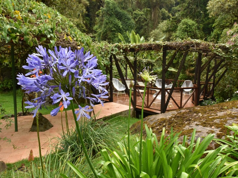 Trogon Lodge - Garten
