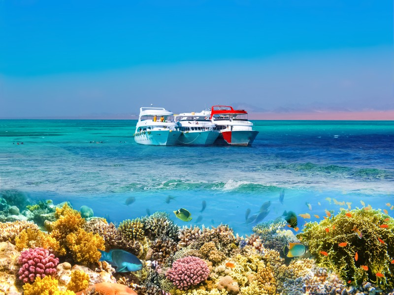 Ras Mohammed national park by boat