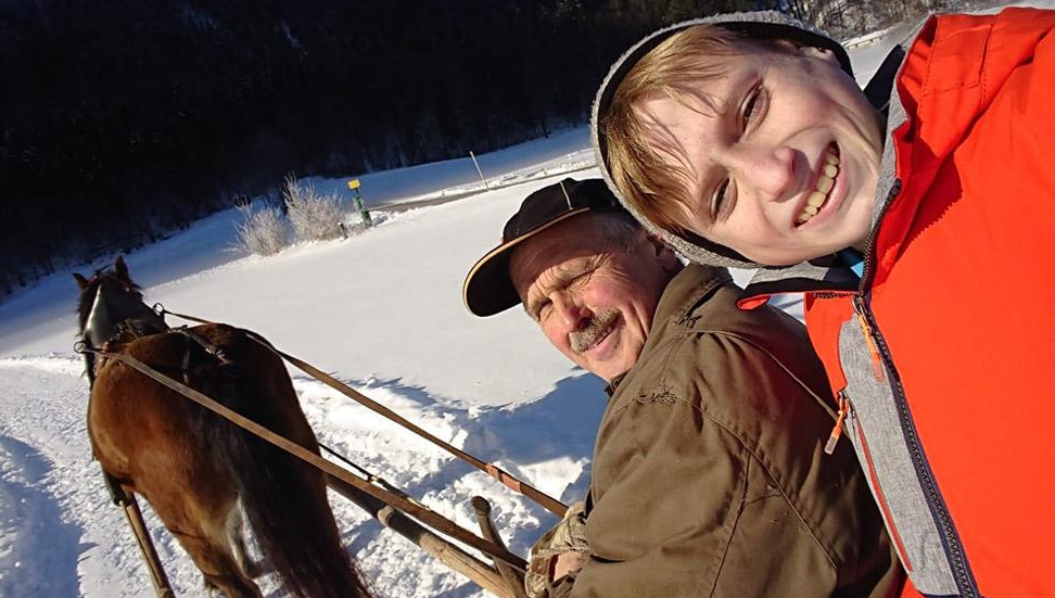 Horse-drawn Sleigh Rides 