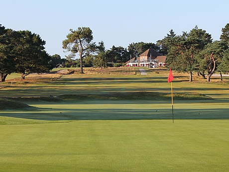 Ferndown golf club Old course