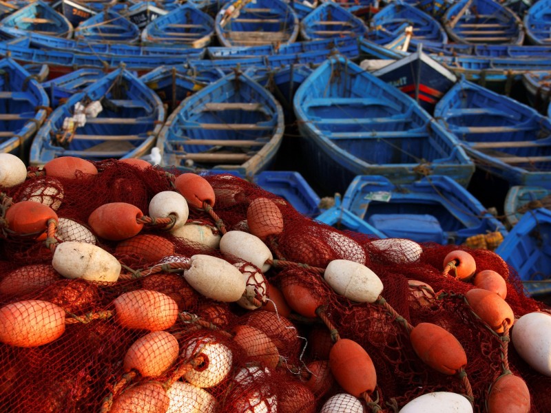 Morocco - Essaouira