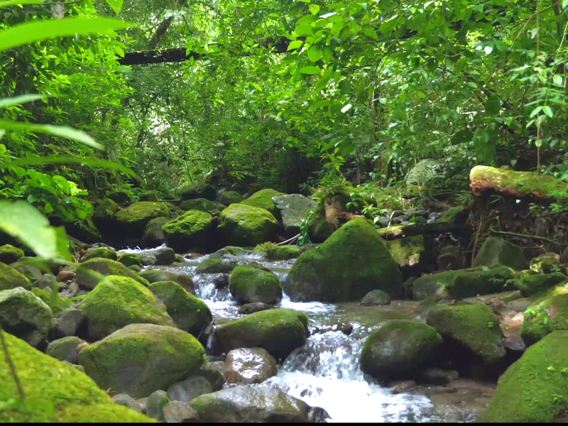 El Valle de Antón - Landschaft