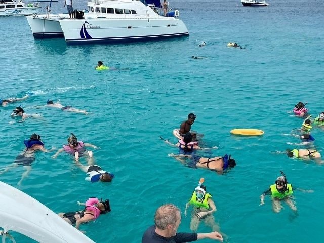 Turtle & Shipwreck Snorkel Tour