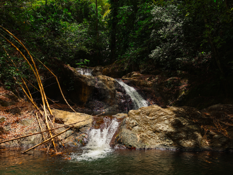 Tobago: Island Girl Adventures