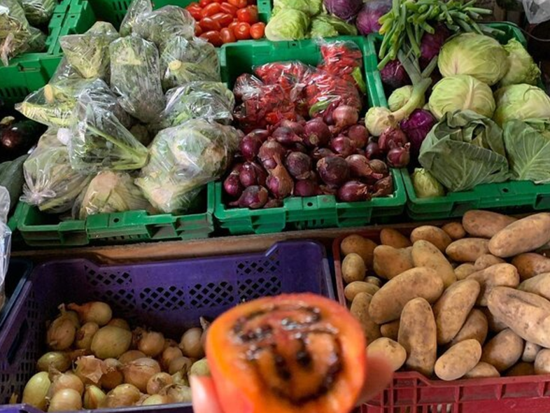 Boquete Coffee Tasting and Plantation To