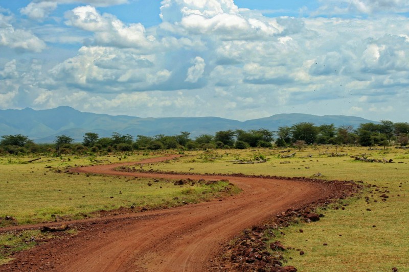 Pirschfahrt im Arusha Nationalpark