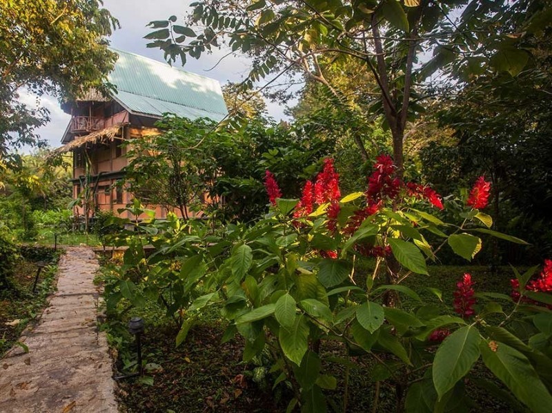 Cotton Tree Lodge - Garten