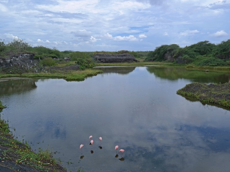 "Pozo de los Flamingos"