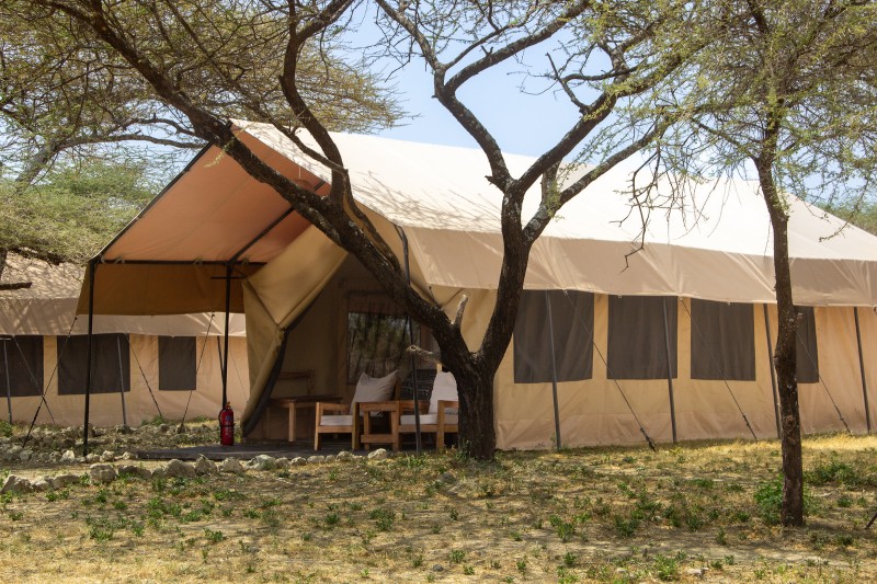 Africa Safari Serengeti Ndutu