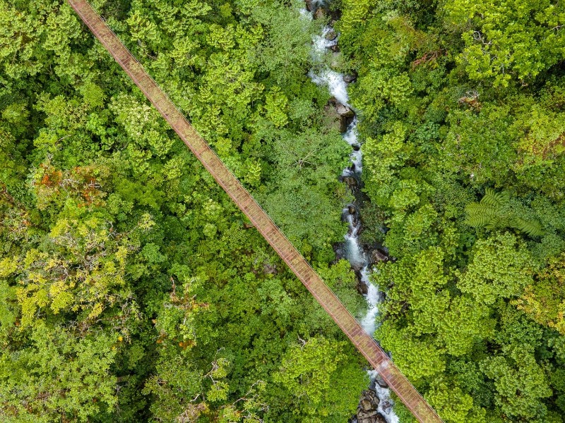 Isla Palenque Resort - Hängebrücke