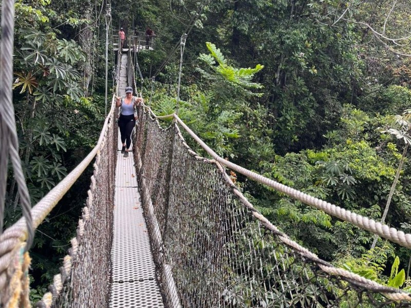  Iwokrama Canopy Walkway