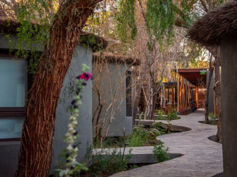 Desertica Hotel Ferienhäuser