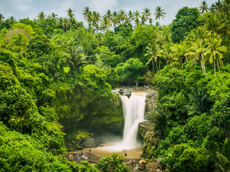 Bali - Ubud ©Igor Tichonow - gty