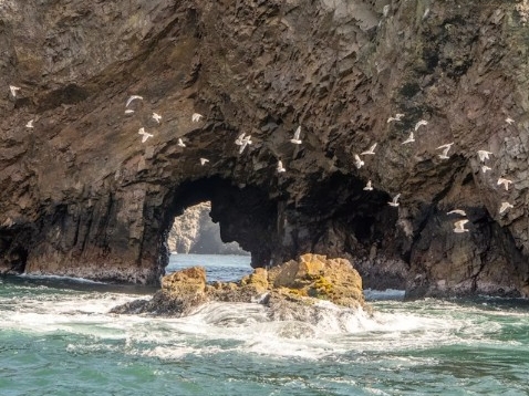 Paracas_2