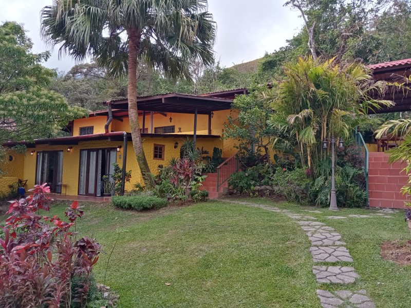 Golden Frog Inn - Garten