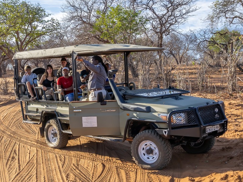 Safarifahrt Elephant Valley Lodge